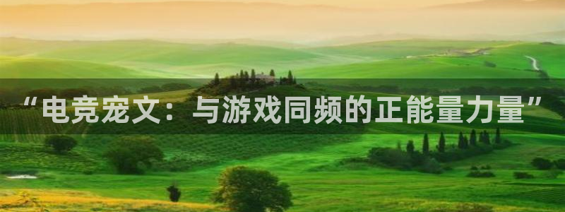 威客电竞集团