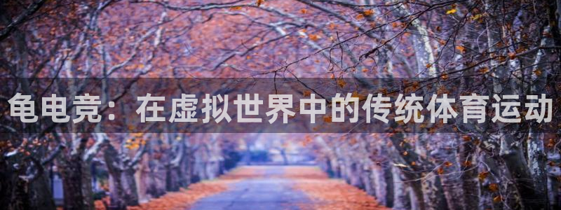 威客电竞