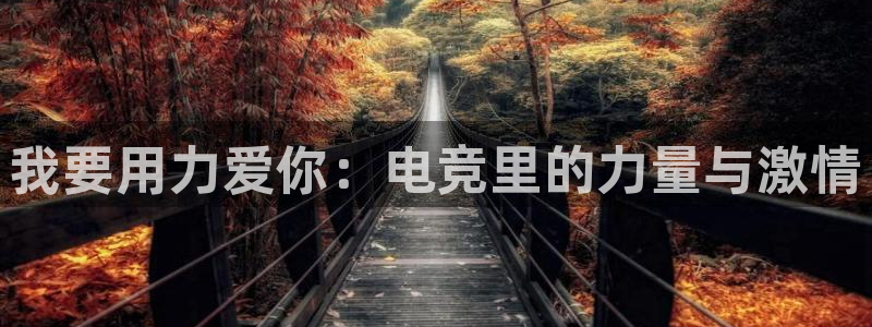 威客电竞客服